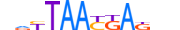 LHX9.H13CORE.1.M.B motif logo (LHX9 gene, LHX9_HUMAN protein)