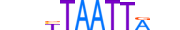 LMX1A.H13CORE.0.SM.B motif logo (LMX1A gene, LMX1A_HUMAN protein)