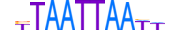 LMX1B.H13CORE.1.SM.B motif logo (LMX1B gene, LMX1B_HUMAN protein)