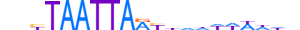 LMX1B.H13CORE.2.S.B motif logo (LMX1B gene, LMX1B_HUMAN protein)