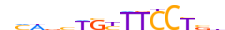 LYL1.H13CORE.1.P.C motif logo (LYL1 gene, LYL1_HUMAN protein)