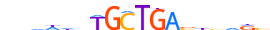 MAF.H13CORE.0.PM.A motif logo (MAF gene, MAF_HUMAN protein)