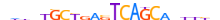 MAFF.H13CORE.0.PSM.A motif logo (MAFF gene, MAFF_HUMAN protein)