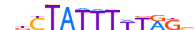 MEF2A.H13CORE.0.P.B motif logo (MEF2A gene, MEF2A_HUMAN protein)