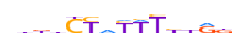 MEF2B.H13CORE.0.PS.A motif logo (MEF2B gene, MEF2B_HUMAN protein)