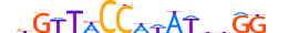 MEF2B.H13CORE.1.SM.B motif logo (MEF2B gene, MEF2B_HUMAN protein)