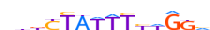 MEF2C.H13CORE.0.P.B motif logo (MEF2C gene, MEF2C_HUMAN protein)