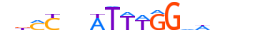 MEF2C.H13CORE.1.SM.B motif logo (MEF2C gene, MEF2C_HUMAN protein)