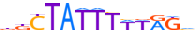 MEF2D.H13CORE.0.PS.A motif logo (MEF2D gene, MEF2D_HUMAN protein)