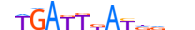 MEIS1.H13CORE.0.P.B motif logo (MEIS1 gene, MEIS1_HUMAN protein)