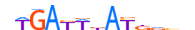 MEIS2.H13CORE.0.P.C motif logo (MEIS2 gene, MEIS2_HUMAN protein)