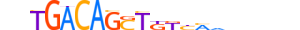 MEIS3.H13CORE.1.S.B motif logo (MEIS3 gene, MEIS3_HUMAN protein)