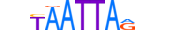 MIXL1.H13CORE.1.S.B motif logo (MIXL1 gene, MIXL1_HUMAN protein)