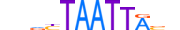 MNX1.H13CORE.0.SM.B motif logo (MNX1 gene, MNX1_HUMAN protein)