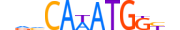 MSGN1.H13CORE.0.PSM.A motif logo (MSGN1 gene, MSGN1_HUMAN protein)