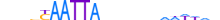 MSX1.H13CORE.1.S.C motif logo (MSX1 gene, MSX1_HUMAN protein)