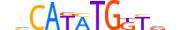 MUSC.H13CORE.0.SM.B motif logo (MSC gene, MUSC_HUMAN protein)