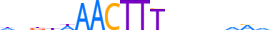 MYT1.H13CORE.0.SG.A motif logo (MYT1 gene, MYT1_HUMAN protein)