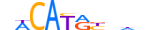 NACC2.H13CORE.0.PSGIB.A motif logo (NACC2 gene, NACC2_HUMAN protein)