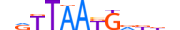 NANOG.H13CORE.2.M.C motif logo (NANOG gene, NANOG_HUMAN protein)