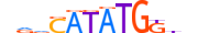 NDF1.H13CORE.1.S.C motif logo (NEUROD1 gene, NDF1_HUMAN protein)