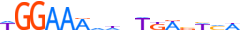 NFAC1.H13CORE.0.P.B motif logo (NFATC1 gene, NFAC1_HUMAN protein)