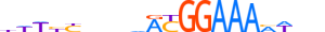 NFAC1.H13CORE.2.SM.B motif logo (NFATC1 gene, NFAC1_HUMAN protein)