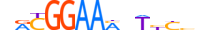 NFAC1.H13CORE.3.SM.B motif logo (NFATC1 gene, NFAC1_HUMAN protein)