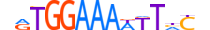 NFAT5.H13CORE.1.PS.A motif logo (NFAT5 gene, NFAT5_HUMAN protein)