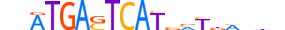 NFE2.H13CORE.1.SM.B motif logo (NFE2 gene, NFE2_HUMAN protein)