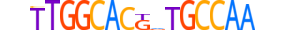 NFIA.H13CORE.1.PS.A motif logo (NFIA gene, NFIA_HUMAN protein)