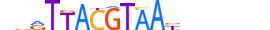 NFIL3.H13CORE.1.S.B motif logo (NFIL3 gene, NFIL3_HUMAN protein)