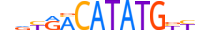 NGN1.H13CORE.0.SM.B motif logo (NEUROG1 gene, NGN1_HUMAN protein)