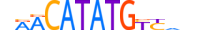 NGN2.H13CORE.1.SM.B motif logo (NEUROG2 gene, NGN2_HUMAN protein)