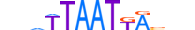 NKX61.H13CORE.2.S.B motif logo (NKX6-1 gene, NKX61_HUMAN protein)