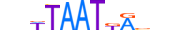 NKX62.H13CORE.0.SM.B motif logo (NKX6-2 gene, NKX62_HUMAN protein)