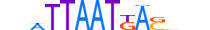 NKX63.H13CORE.0.SM.B motif logo (NKX6-3 gene, NKX63_HUMAN protein)