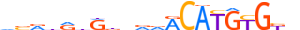 NPAS2.H13CORE.0.M.B motif logo (NPAS2 gene, NPAS2_HUMAN protein)