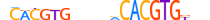 NPAS2.H13CORE.2.S.B motif logo (NPAS2 gene, NPAS2_HUMAN protein)