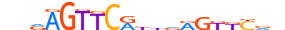 NR1I2.H13CORE.0.M.C motif logo (NR1I2 gene, NR1I2_HUMAN protein)