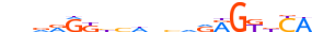 NR1I3.H13CORE.0.P.B motif logo (NR1I3 gene, NR1I3_HUMAN protein)