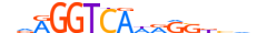 NR2C1.H13CORE.1.PM.A motif logo (NR2C1 gene, NR2C1_HUMAN protein)