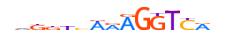 NR2C2.H13CORE.1.PS.A motif logo (NR2C2 gene, NR2C2_HUMAN protein)