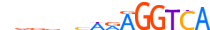 NR2F6.H13CORE.0.P.C motif logo (NR2F6 gene, NR2F6_HUMAN protein)