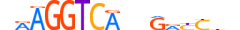 NR2F6.H13CORE.3.SM.B motif logo (NR2F6 gene, NR2F6_HUMAN protein)