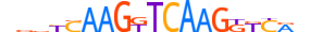 NR6A1.H13CORE.2.SM.B motif logo (NR6A1 gene, NR6A1_HUMAN protein)