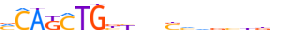 OLIG2.H13CORE.0.P.B motif logo (OLIG2 gene, OLIG2_HUMAN protein)