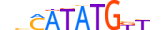 OLIG2.H13CORE.2.SM.B motif logo (OLIG2 gene, OLIG2_HUMAN protein)