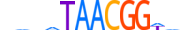 OVOL2.H13CORE.0.PSM.A motif logo (OVOL2 gene, OVOL2_HUMAN protein)