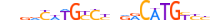 P53.H13CORE.0.P.B motif logo (TP53 gene, P53_HUMAN protein)